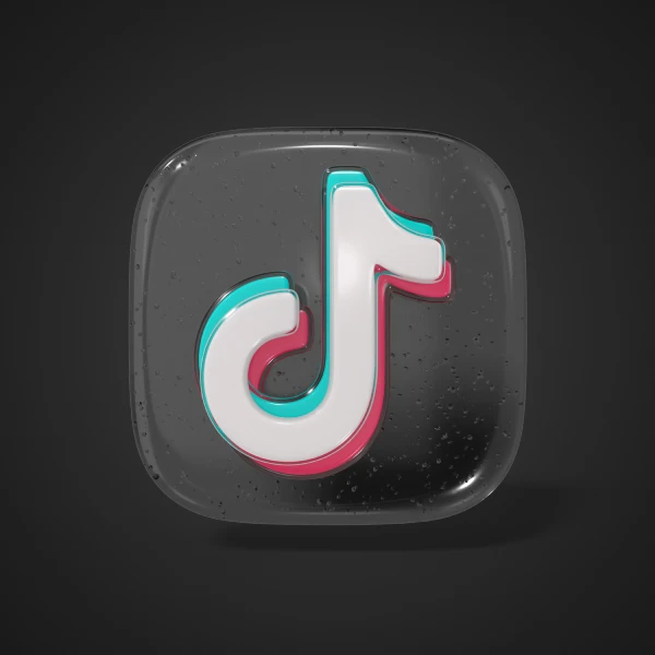 TikTok Einnahmen: Wie viel verdient man wirklich in Deutschland?