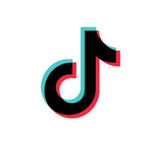 TikTok Icon