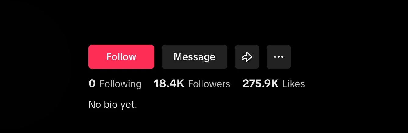 TikTok Profil vor Kampagne: 18,4K Follower, 275,9K Likes