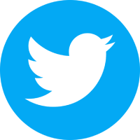 Twitter (X) Icon