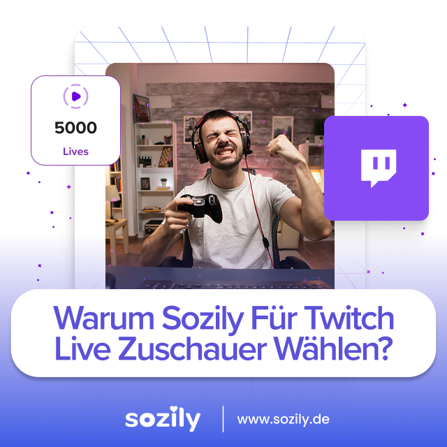 Twitch Live Zuschauer Service Vorteile
